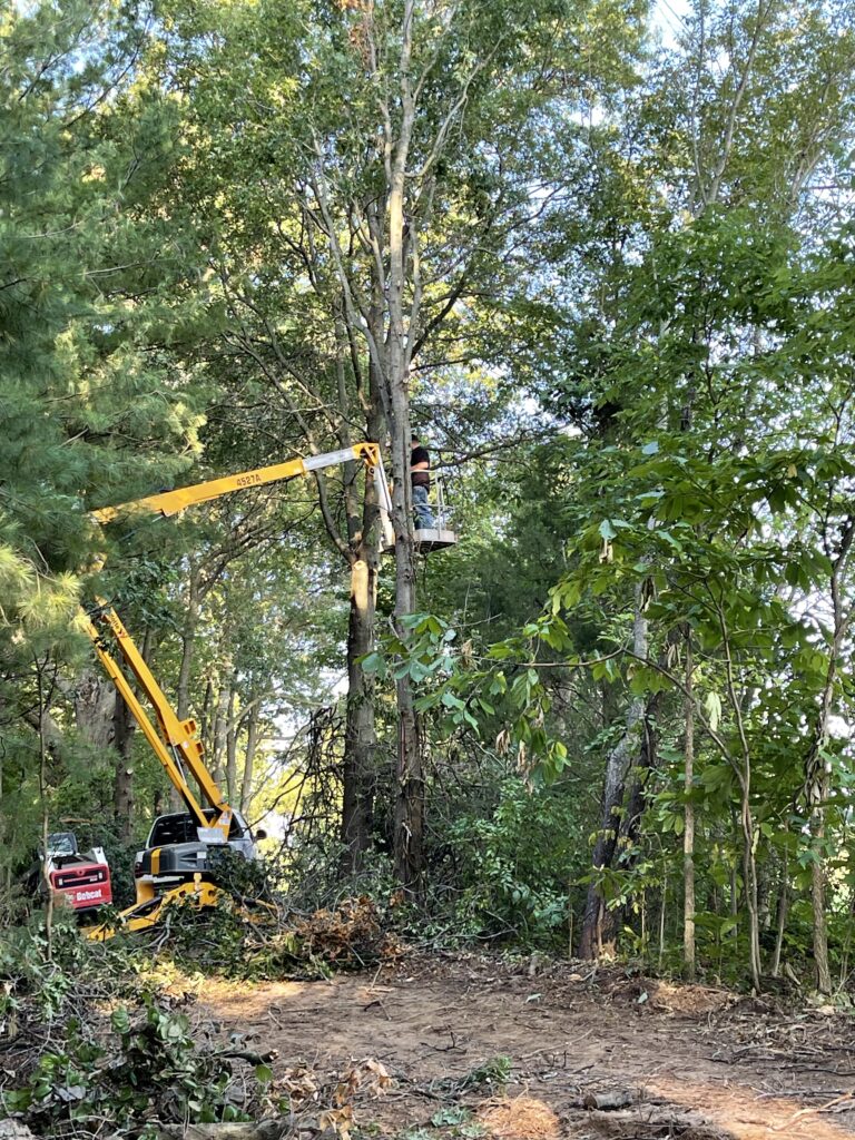 71492178249__1F28CEA2-6BAD-428D-B462-88169987E6DA.fullsizerender