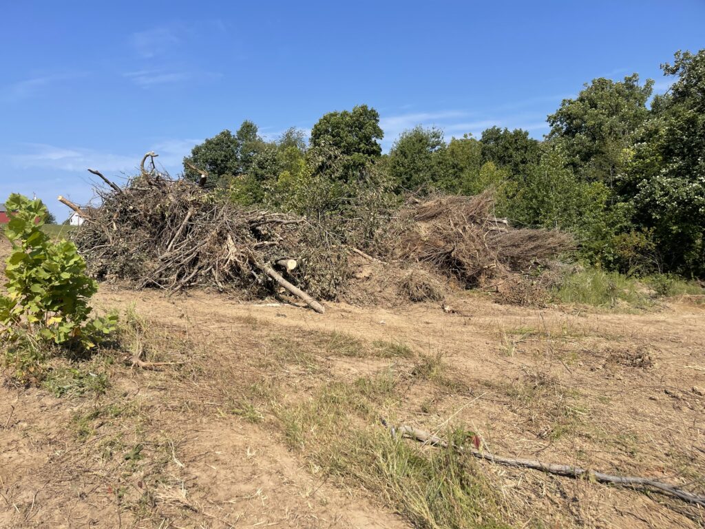 71553705591__56116EF0-DAAB-47FE-B23B-EA2F8A48EC1F.fullsizerender