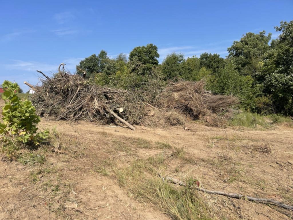 att.rJVLZQwu8d9ALKXz7pG6Fc4SZhN-IlMRnTw4P0rRdYc